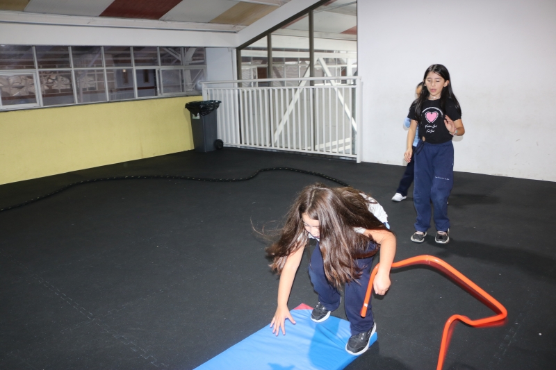 Día de la Actividad Física